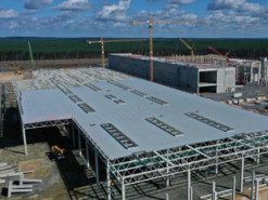 Не в змеях дело: Эксперты озвучили настоящие причины остановки строительства завода Tesla