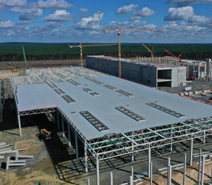 Не в змеях дело: Эксперты озвучили настоящие причины остановки строительства завода Tesla