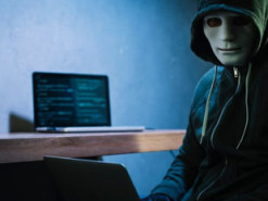 Шахраї використовували TikTok для злому користувачів Microsoft