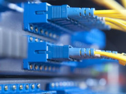 У Нідерландах поліція ліквідувала сайт дитячої порнографії