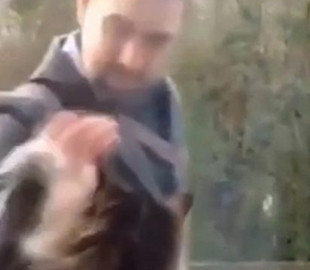 Дружелюбный кот умилил пользователей интернета