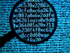 В публичном доступе оказались данные 2,3 миллионов людей, пострадавших от природных катастроф