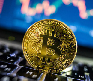 Сальвадор направит прибыль от операций с биткоином на строительство ветклиники