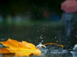 Синоптики дали прогноз погоди на наступний тиждень