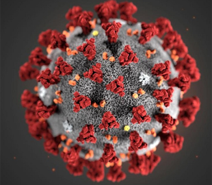 Apple ужесточила требования к приложениям с информацией о коронавирусе