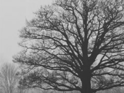 В Україні стане холодніше: синоптикиня дала детальний прогноз погоди на неділю