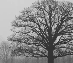 В Україні стане холодніше: синоптикиня дала детальний прогноз погоди на неділю