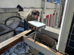 В Одесі встановили перші термінали супутникового зв'язку Starlink