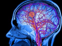 Новая компьютерная архитектура по типу мозга может улучшить методы обработки данных