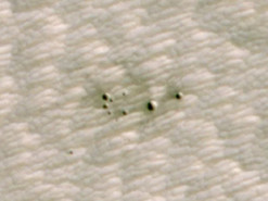 Искусственный интеллект помог найти свежие кратеры на Марсе