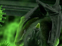 ИИ предупредил о катастрофических последствиях поспешного выхода из карантина