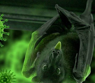 ИИ предупредил о катастрофических последствиях поспешного выхода из карантина