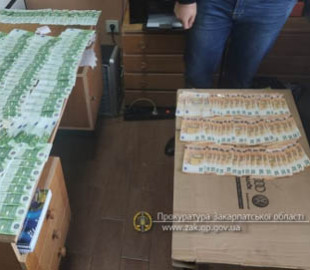 На Закарпатті викрито схему ухилення від сплати податків одним із інтернет-магазинів автозапчастин