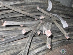 Житель Мелитополя украл кабеля на 28 тысяч гривен