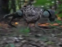 Бойовий робопес на службі українських військових