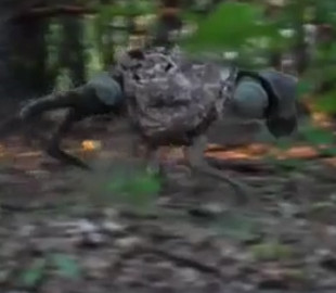 Бойовий робопес на службі українських військових