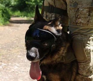 Розвідка показала одного зі своїх найдосвідченіших бійців (фото)