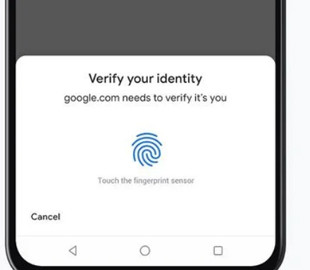 Android получил долгожданную функцию защиты автозаполнения