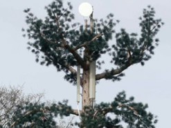 В CША курьеры вешают смартфоны на ветки деревьев