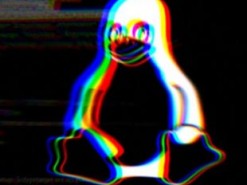 За взлом Linux заплатят $500 000