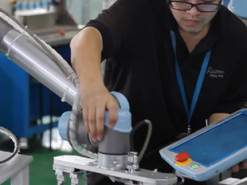 "Обойдемся без людей": эксперты пояснили, почему компании заменяют сотрудников роботами