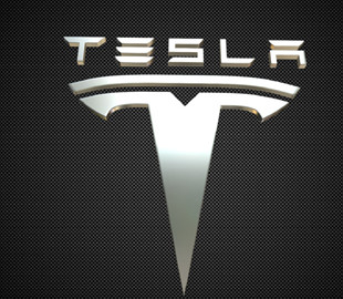 Смогут ли экологи затормозить строительство завода Tesla в Германии?