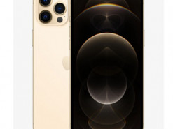 В Киеве у народного депутата украли iPhone золотого цвета