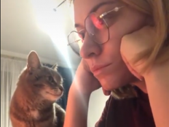 Кошка добилась внимания читающей хозяйки