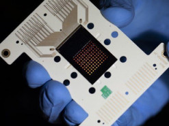 Американские учёные сообщили о большом прогрессе в записи и хранении данных на ДНК