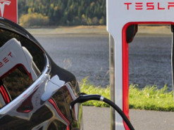 Tesla назвала «неточной» информацию о выходе завода в Шанхае на выпуск 500 тыс. электромобилей в год