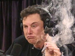 Google назвал самые популярные мемы года