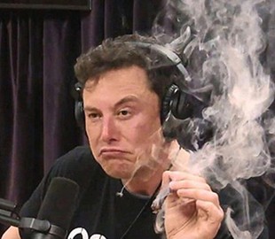 Google назвал самые популярные мемы года