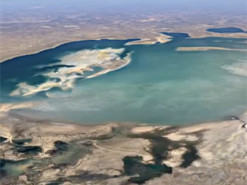 В Google показали, що трапилося з кліматом Землі за останні 36 років