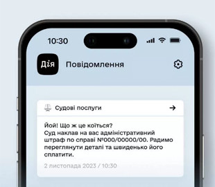 У «Дії» зʼявилася нова послуга