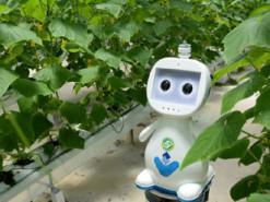В Китае создали сельскохозяйственного робота с технологией 5G