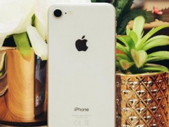 Apple выпустит новый iPhone SE в дизайне iPhone 8