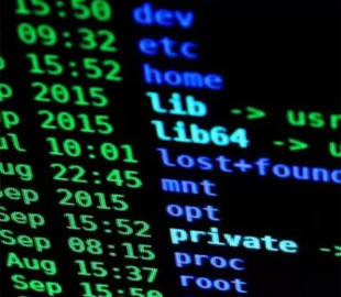 В СНБО призвали украинцев сообщать об "аномальных событиях" в интернете