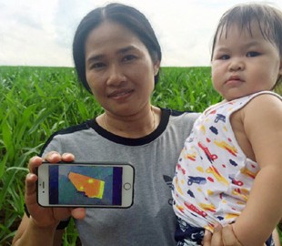 Мобильное приложение увеличило урожайность на 50%