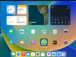 Знадобилося всього 15 років: у WhatsApp з'явився нативний додаток для iPad