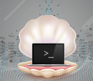 Microsoft предупредила о росте числа кибератак с использованием web-оболочек