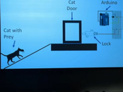 Працівник Amazon вигадав алгоритм, який не пускає до будинку кота, коли той приносить мертвих тварин