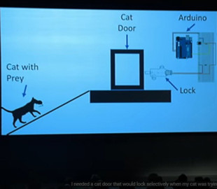 Працівник Amazon вигадав алгоритм, який не пускає до будинку кота, коли той приносить мертвих тварин