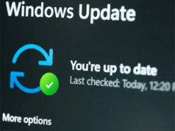 Microsoft спростовує зв’язок між оновленням Windows 11 та виходом з ладу SSD
