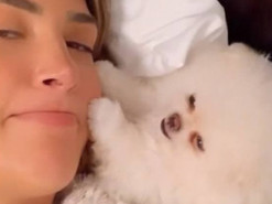 Ненавидящий нежности шпиц стал звездой Сети