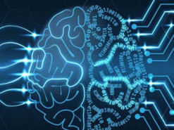 Искусственный интеллект потребляет много энергии. Бионейроны помогут уменьшить