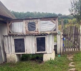 На Житомирщині чоловік застрелив сусідське щеня, яке заважало йому своїм голосним гавкотом