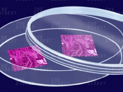 Ученые собираются вырастить живой нейронный компьютер