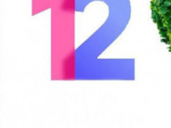 Когда выйдет MIUI 12 на Android 11 для Xiaomi и Redmi