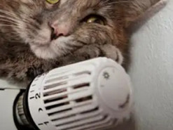 Коли у Києві розпочнеться опалювальний сезон: що каже влада