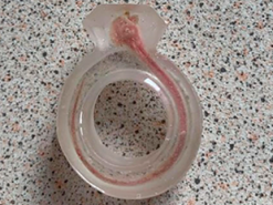 Пользовательница Facebook купила возлюбленному кольцо из мышиного кишечника